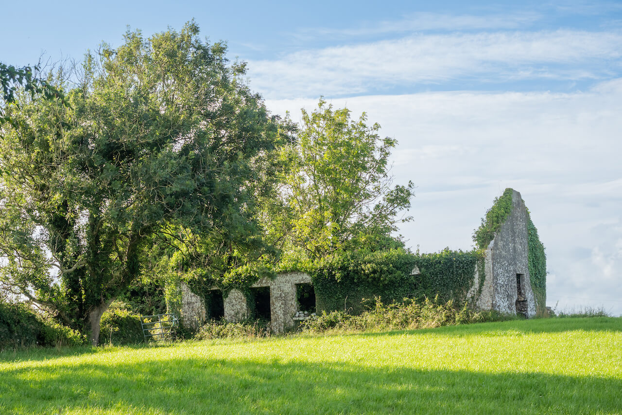 farmhouse-ruin-in-ireland-2026-03-23-23-36-56-utc
